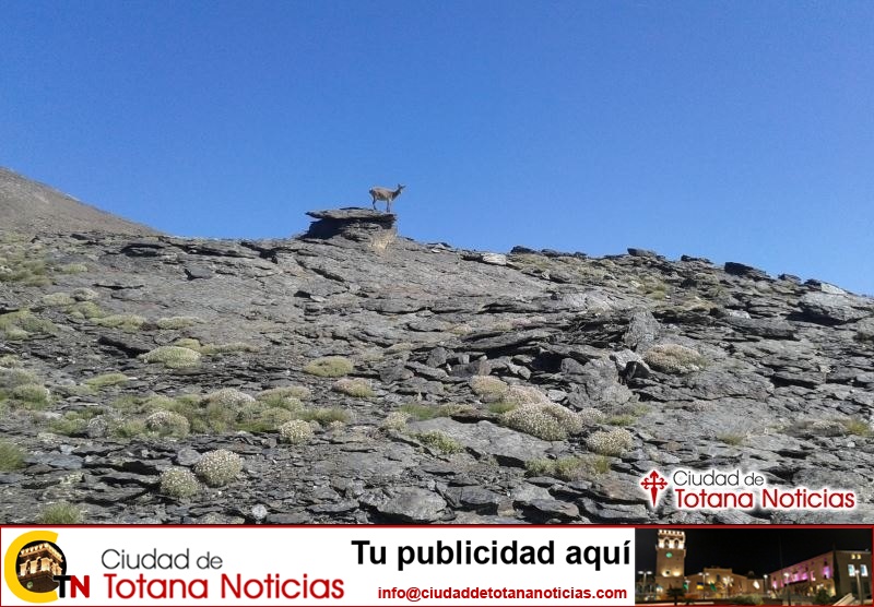 Fin de semana en Sierra Nevada 2016 - Club Senderista Totana - 012