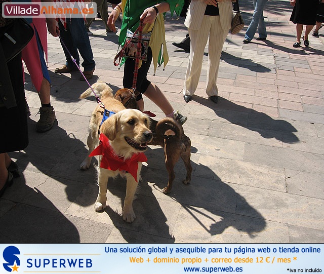 Actividades de los Mayos 07 domingo por la ma�ana - Reportaje I - 2