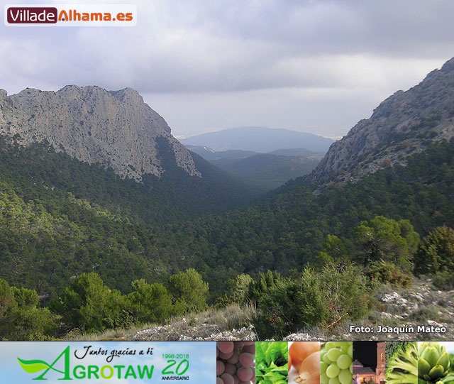 Reportaje fotogr�fico de Sierra Espu�a y Alhama - 9
