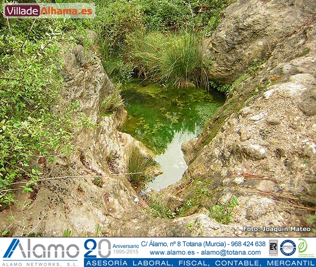 Reportaje fotogr�fico de Sierra Espu�a y Alhama - 14