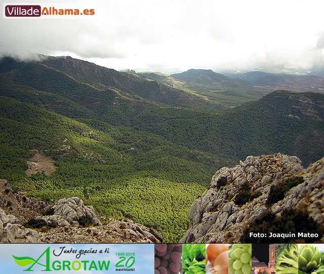 Reportaje fotogr�fico de Sierra Espu�a y Alhama - 23