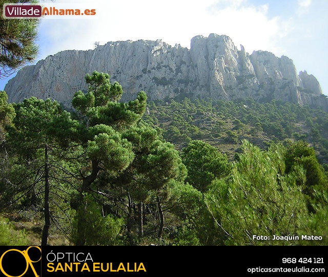 Reportaje fotogr�fico de Sierra Espu�a y Alhama - 28