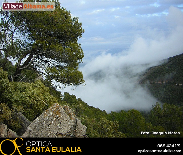 Reportaje fotogr�fico de Sierra Espu�a y Alhama - 29