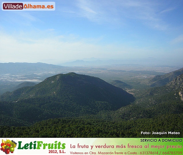Reportaje fotogr�fico de Sierra Espu�a y Alhama - 40