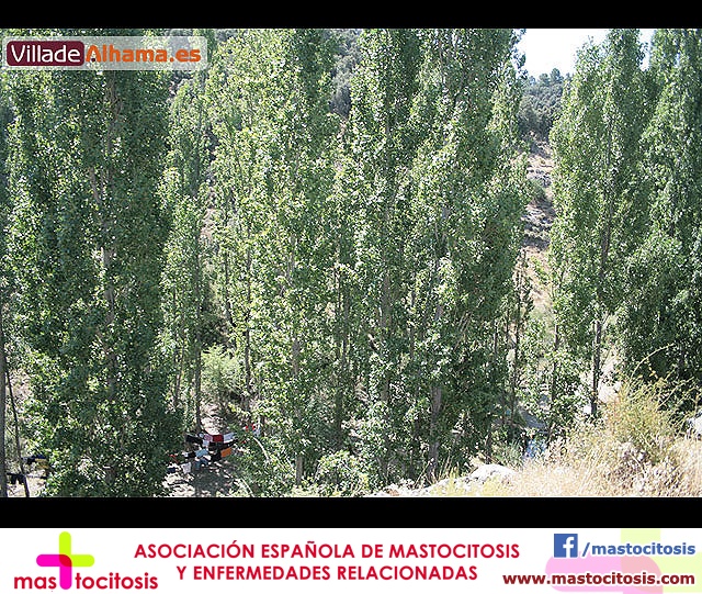 Campamento Scout - D�a de Padres - 33
