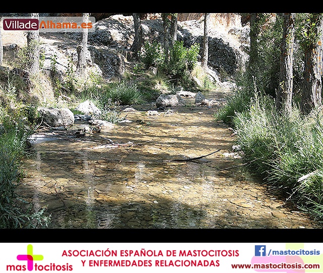 Campamento Scout - D�a de Padres - 39