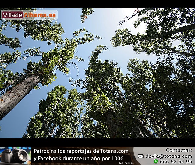 Campamento Scout - D�a de Padres - 47