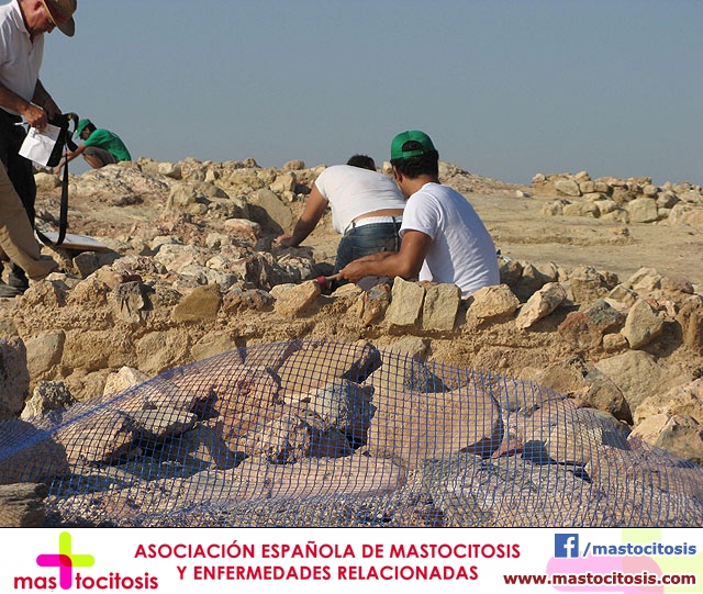 XI Campo Internacional de Trabajo Castillo de Alhama - 91
