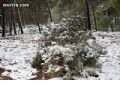 Nieve en Sierra Espuña - 15 Nieve en Sierra Espuña - 15