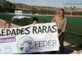 Enfermedades Raras - 34 Enfermedades Raras - 34