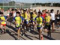 Enfermedades Raras - 55 Enfermedades Raras - 55
