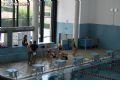 Natación sincronizada - 12 Natación sincronizada - 12